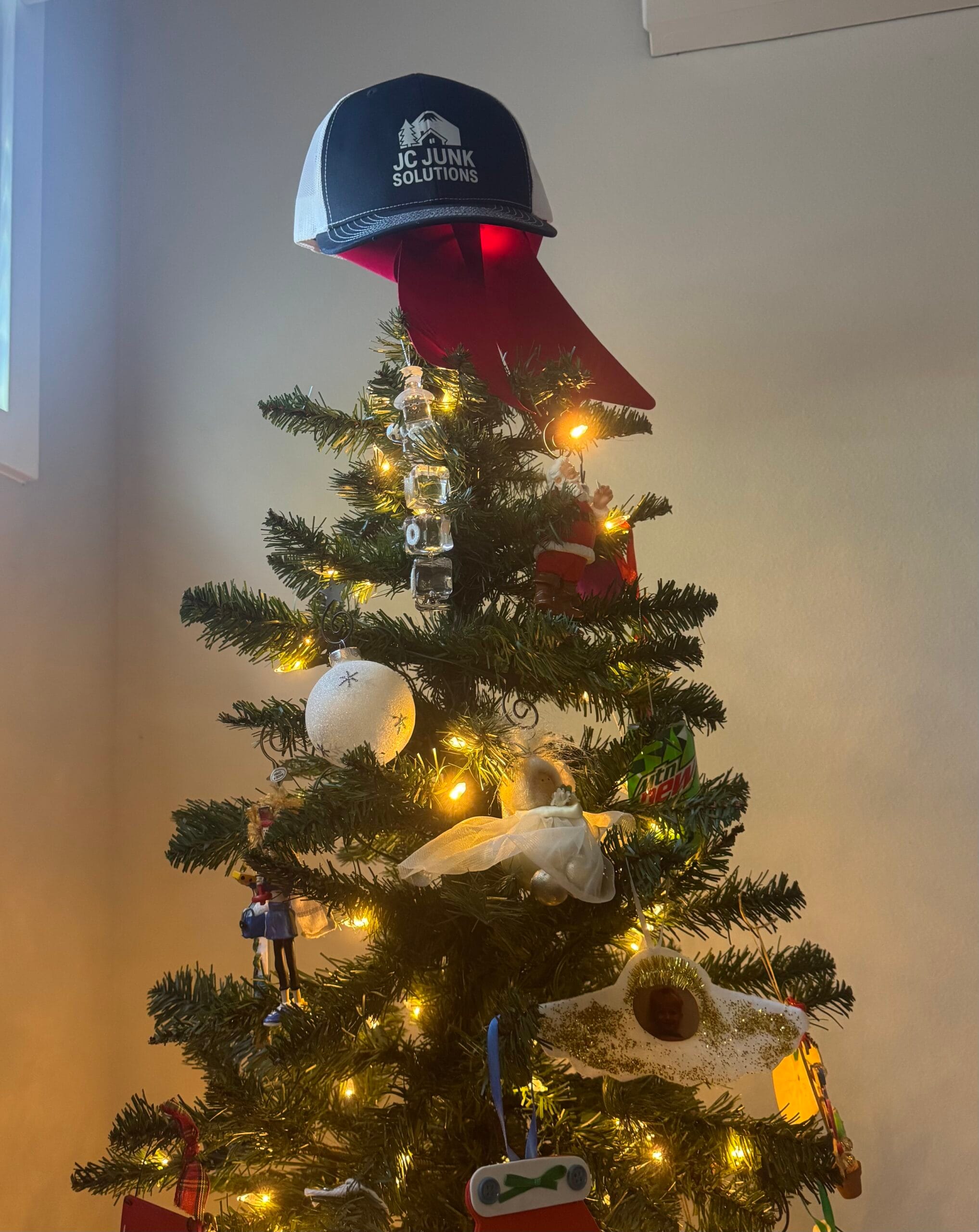 Exterior cleaning and Christmas light installation