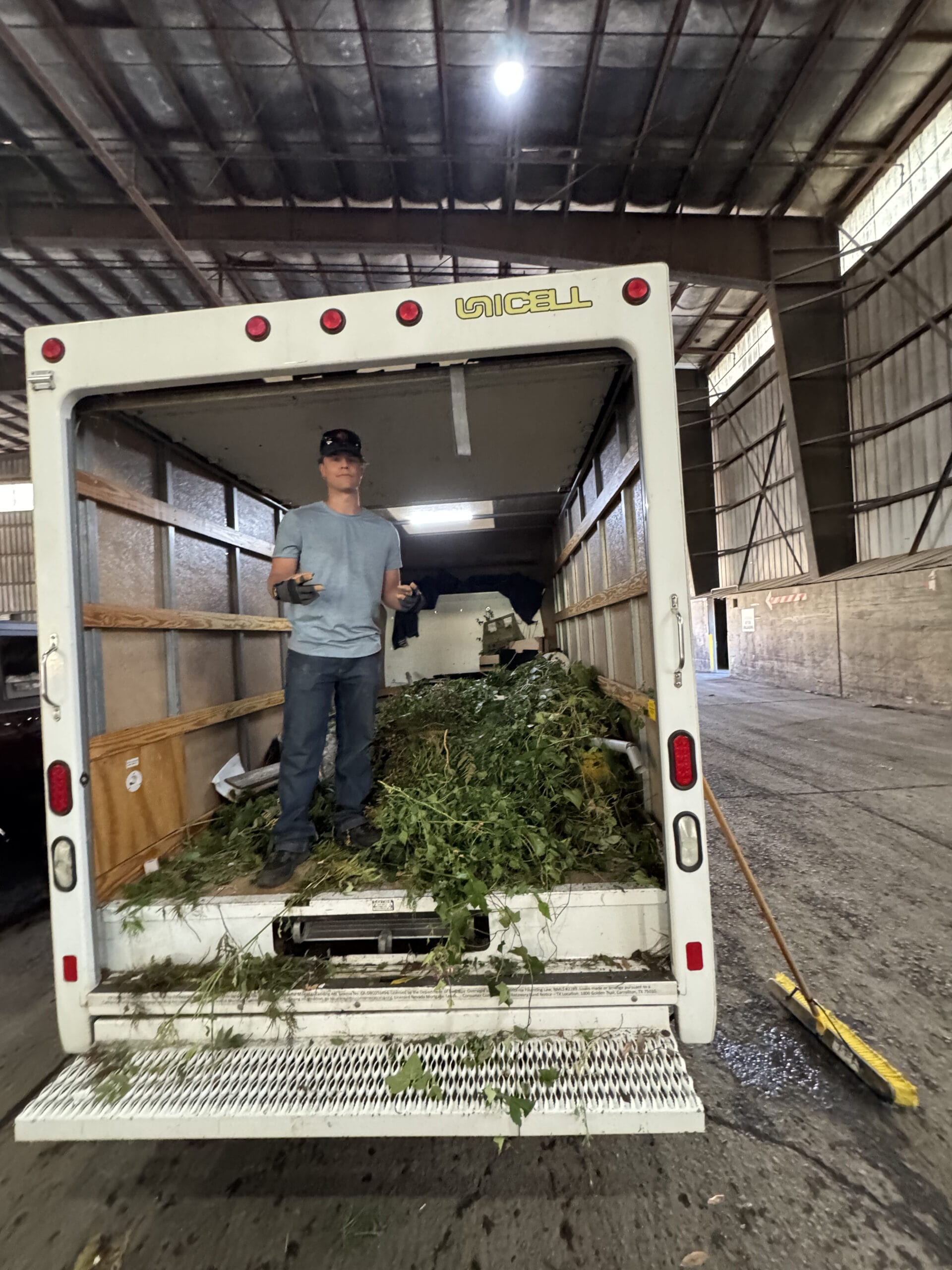 Lawn care and light demolition services